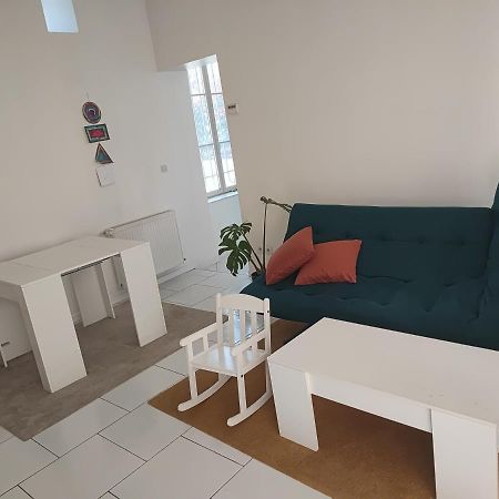 Appartement Chateau Des Montees 奥尔良 外观 照片