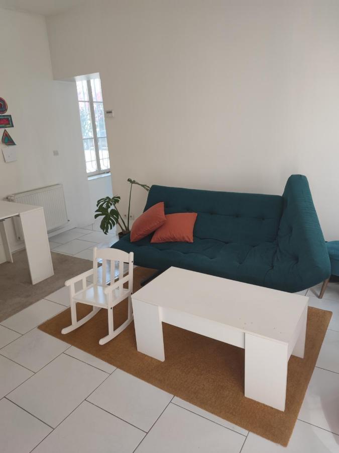 Appartement Chateau Des Montees 奥尔良 外观 照片